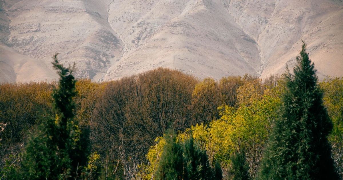 iran