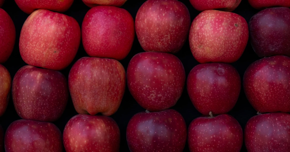 apple, siri, yapay zeka, asistan, teknoloji stratejisi