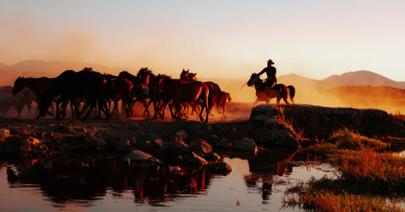 Apple TV, Slow Horses'un altıncı sezonunun başlangıç tarihini duyurdu