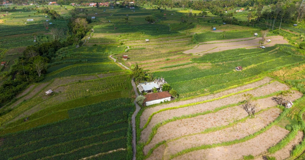 bali