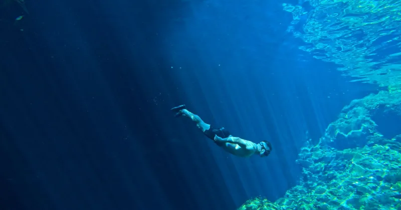 Dave the Diver mobil cihazlara geliyor