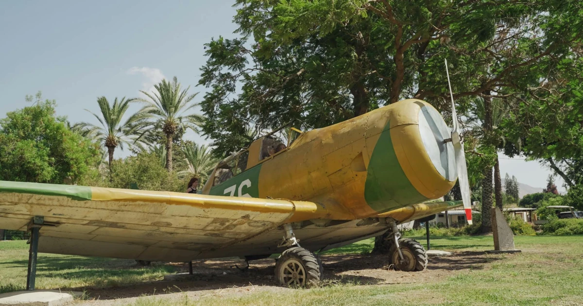 t24