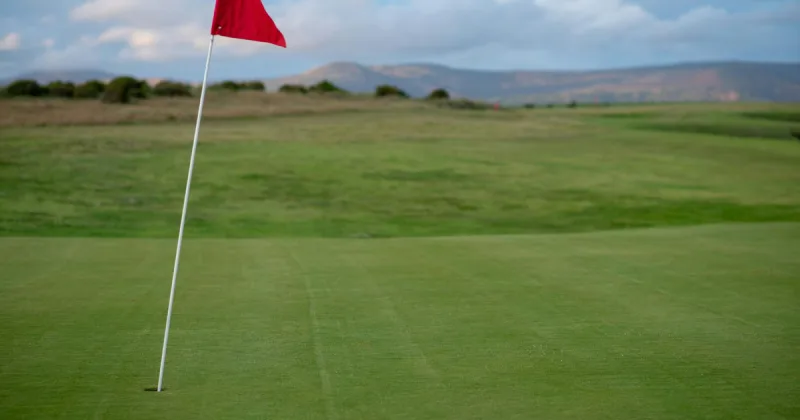 dustin johnson hole-in-one liv