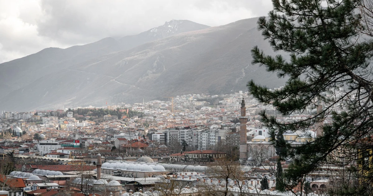 bursa