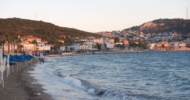 pavlidis