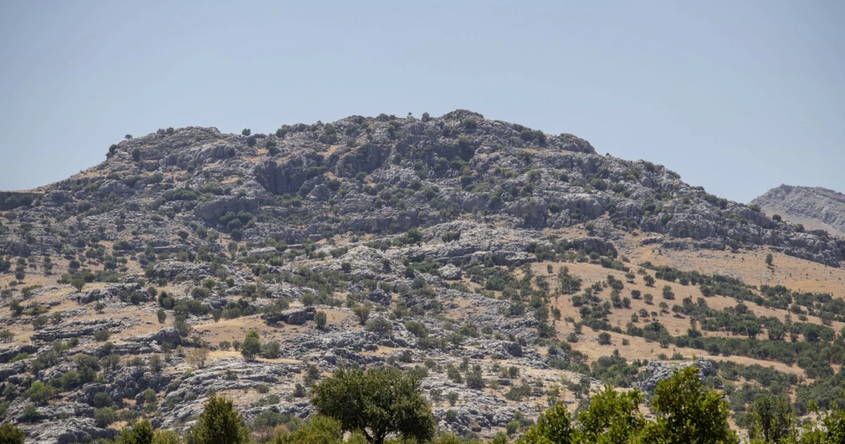 şırnak