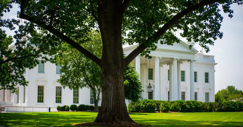 trump ufc white house