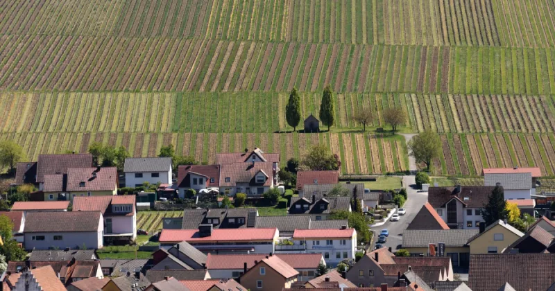 Bayern Munich's Reserve Team Faces Burghausen in High-Profile Regional League Opener