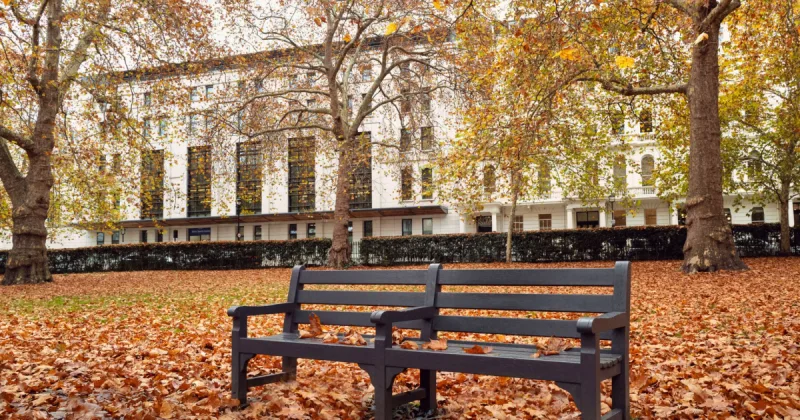 Grosvenor Square Reopens After £25 Million Transformation Into a Wildlife Haven