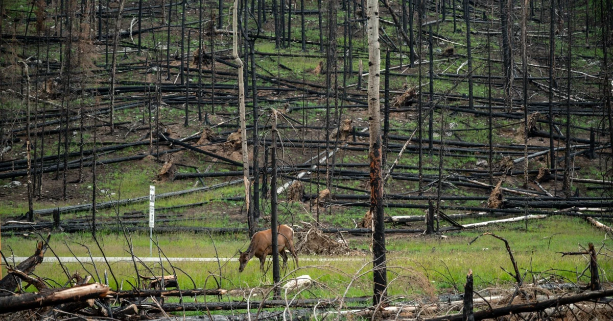 spokane & stevens counties wildfires