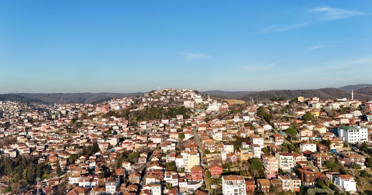stankoviç