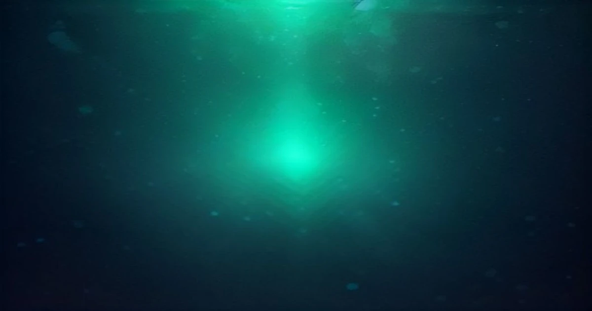 vibrio vulnificus